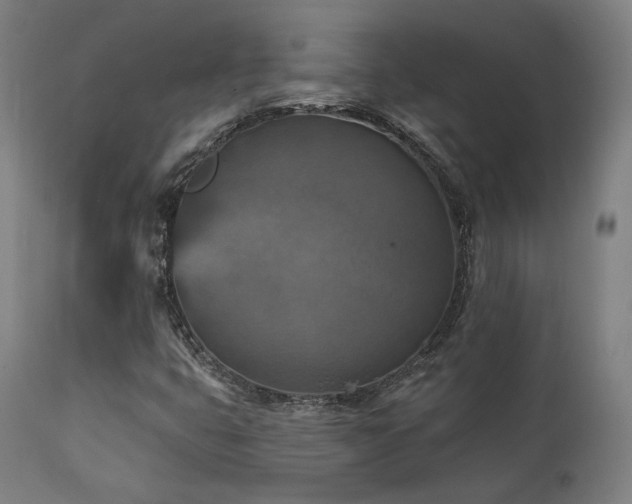 X0000111801399200907231159