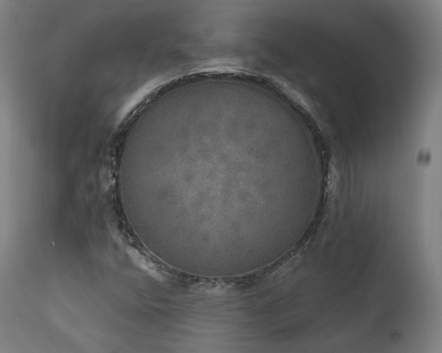 X0000111801400200907231159