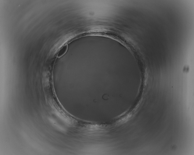 X0000111801401200907231159