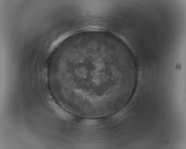 X0000111801402200907231159