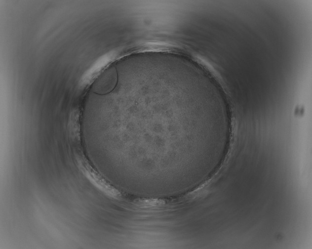 X0000111801403200907231159