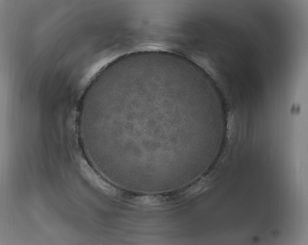 X0000111801404200907231159