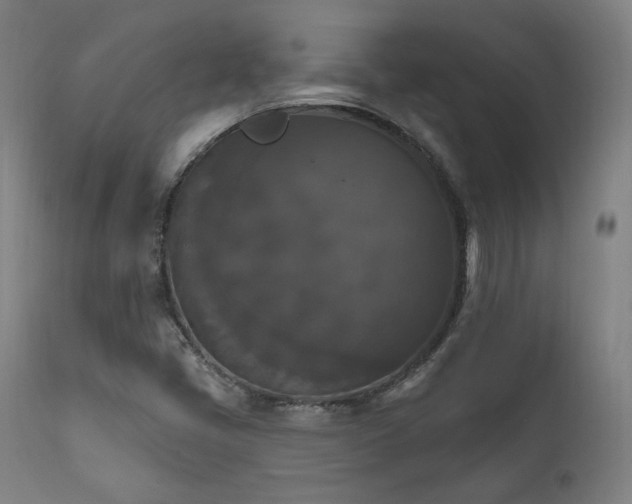 X0000111801405200907231159