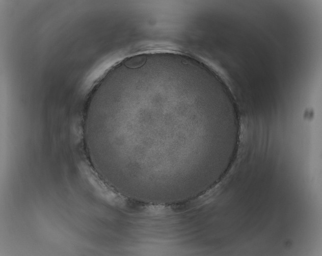 X0000111801407200907231159