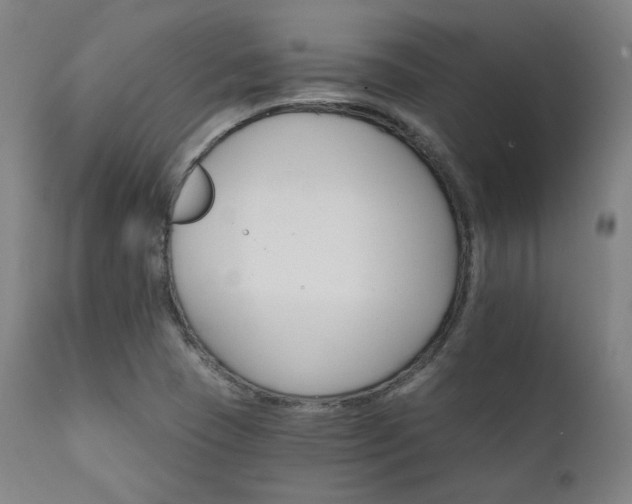 X0000111801409200907231159