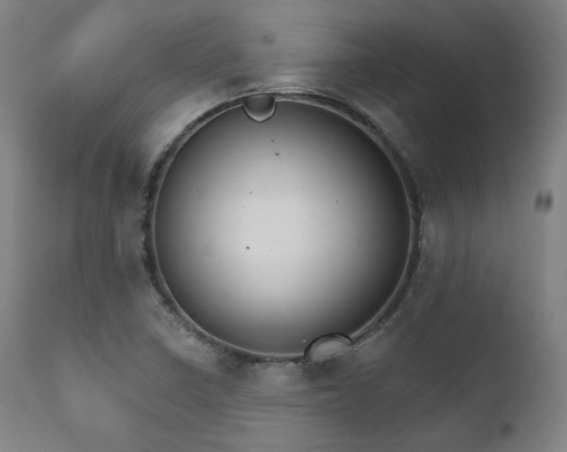 X0000111801410200907231159