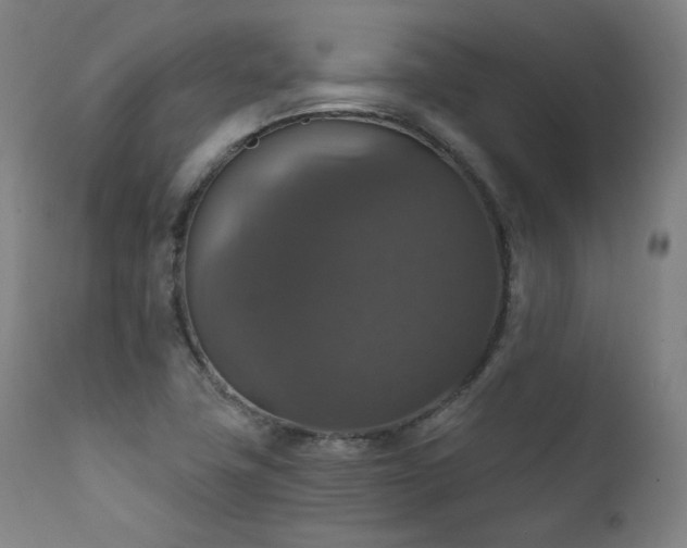 X0000111801411200907231159