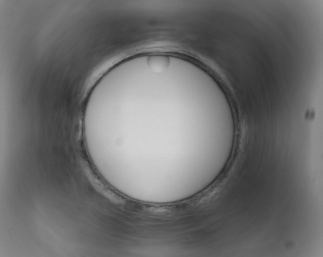 X0000111801413200907231159