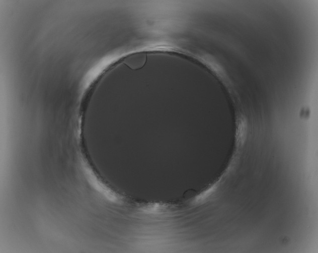 X0000111801414200907231159