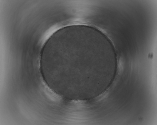 X0000111801415200907231159