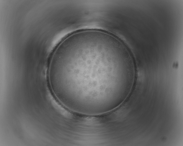 X0000111801416200907231159