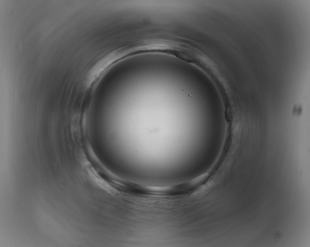 X0000111801417200907231159