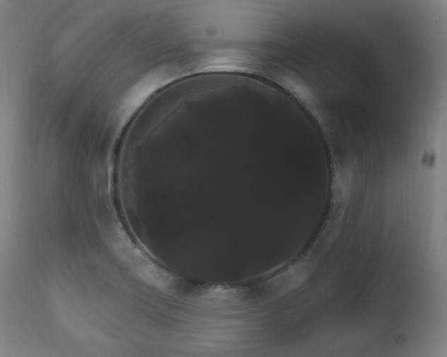 X0000111801419200907231159