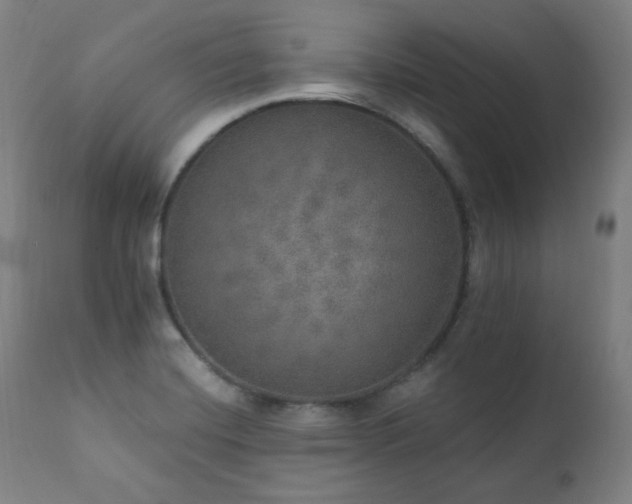 X0000111801420200907231159