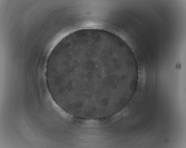 X0000111801421200907231159