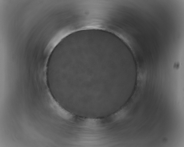 X0000111801423200907231159