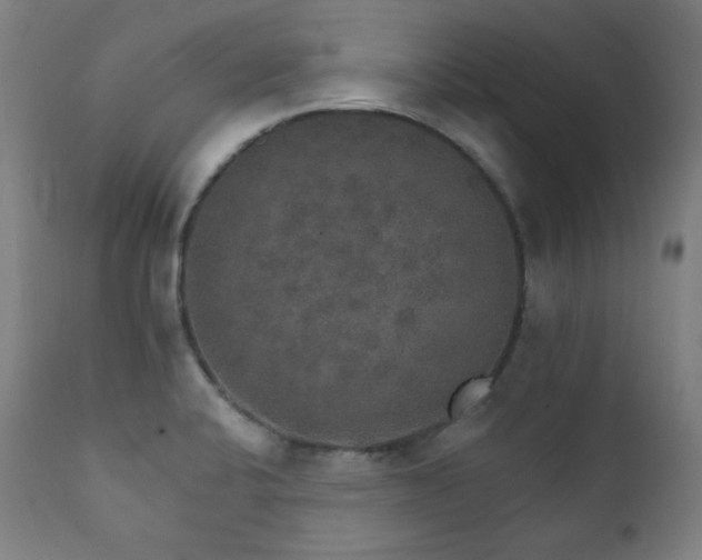 X0000111801424200907231159