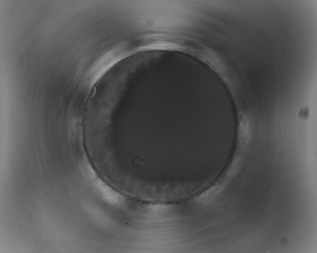 X0000111801425200907231159