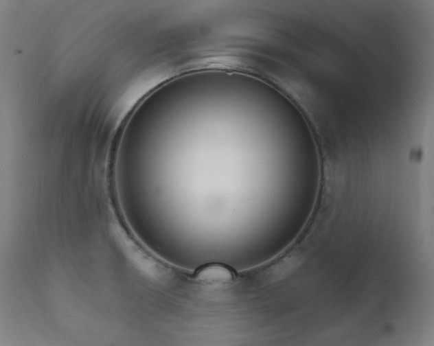 X0000111801426200907231159
