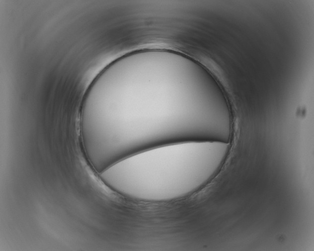 X0000111801428200907231159