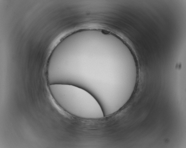 X0000111801429200907231159