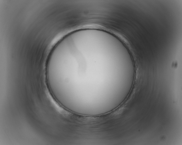X0000111801430200907231159