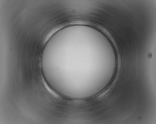 X0000111801433200907231159