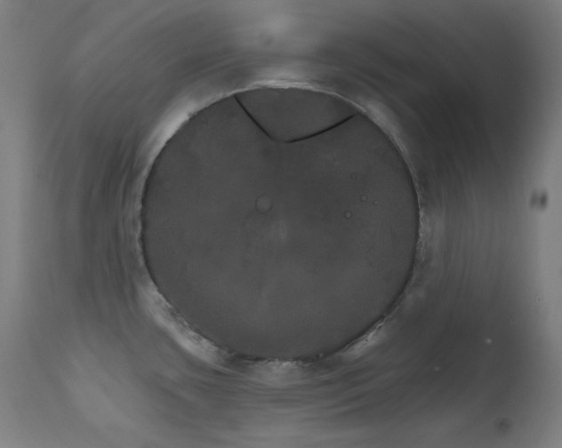 X0000111801435200907231159