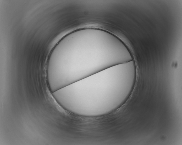 X0000111801436200907231159