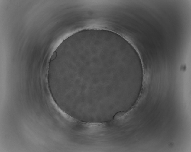 X0000111801437200907231159
