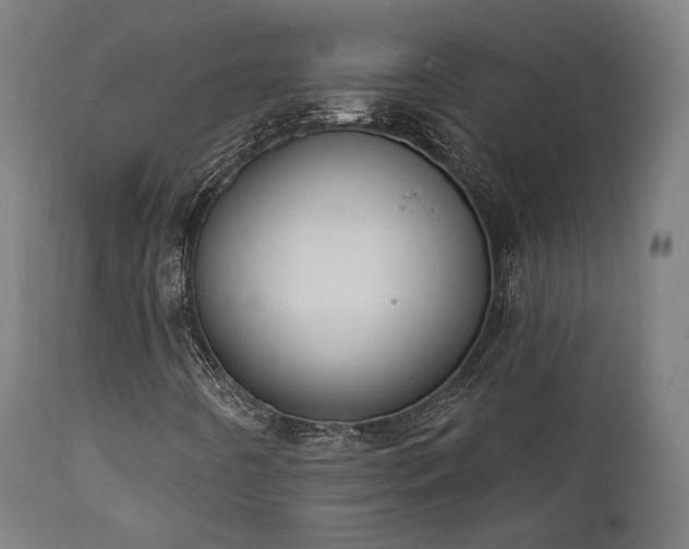 X0000111801442200907231159