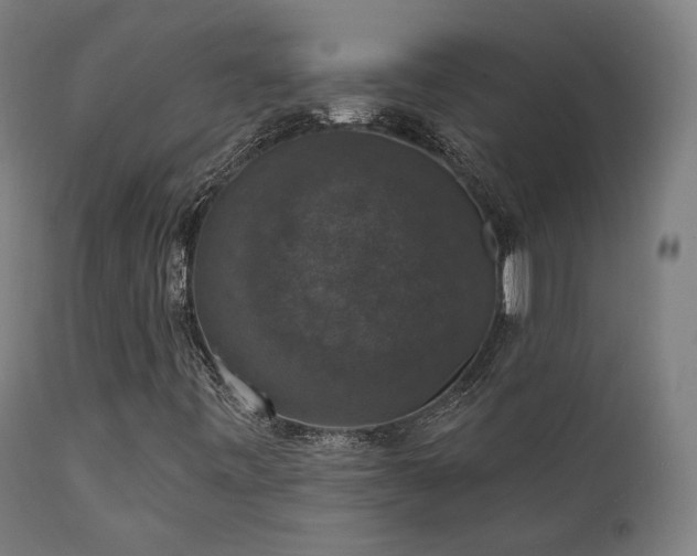 X0000111801443200907231159
