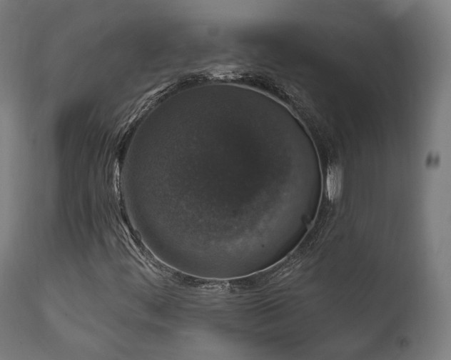 X0000111801444200907231159