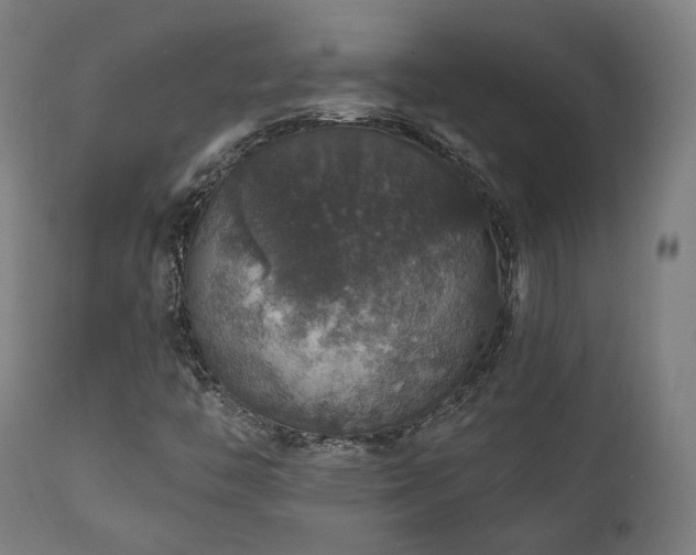 X0000111801446200907231159