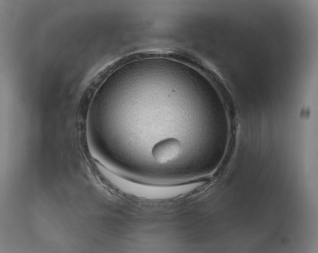 X0000111801448200907231158