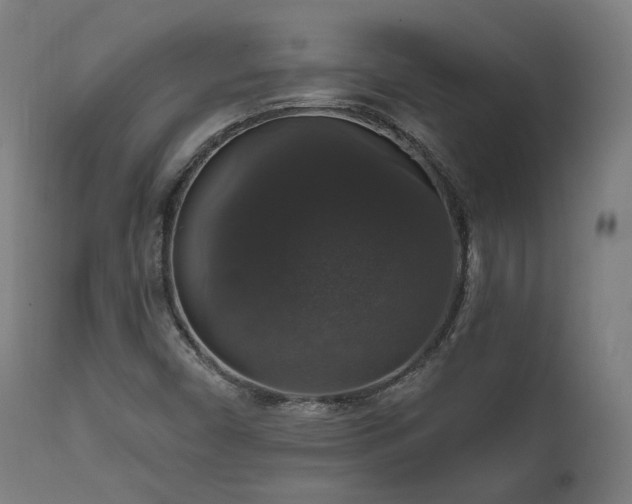 X0000111801450200907231158