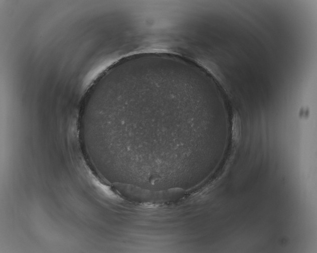 X0000111801452200907231158
