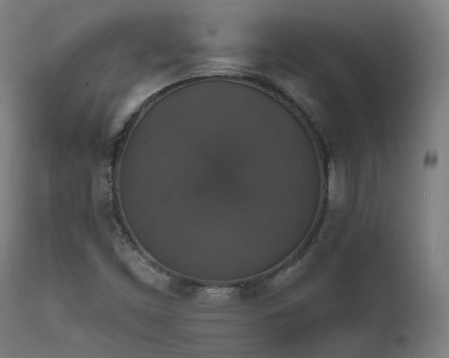 X0000111801453200907231158