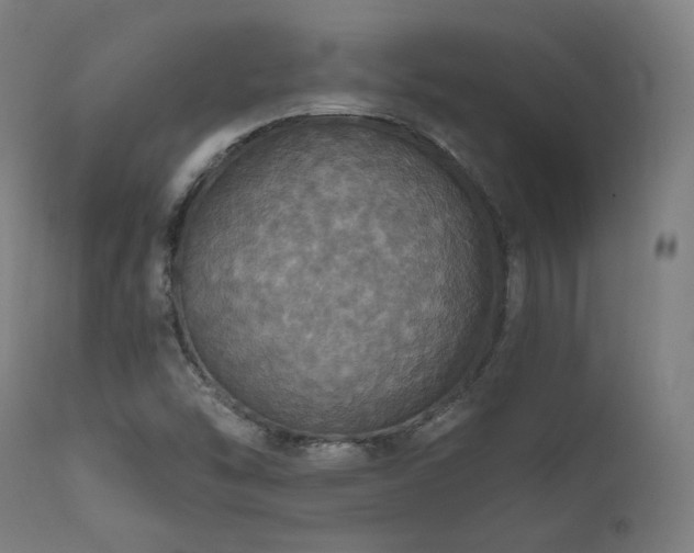 X0000111801454200907231158
