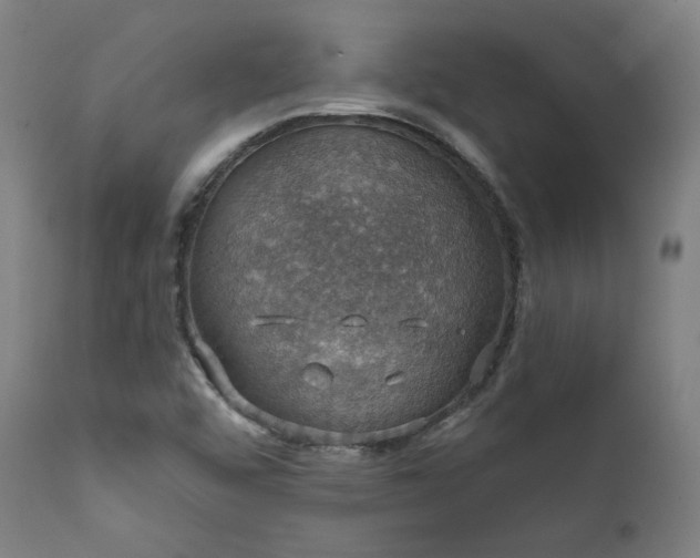 X0000111801456200907231158