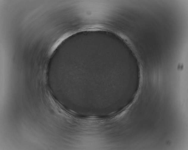 X0000111801457200907231158