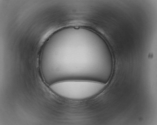 X0000111801459200907231158