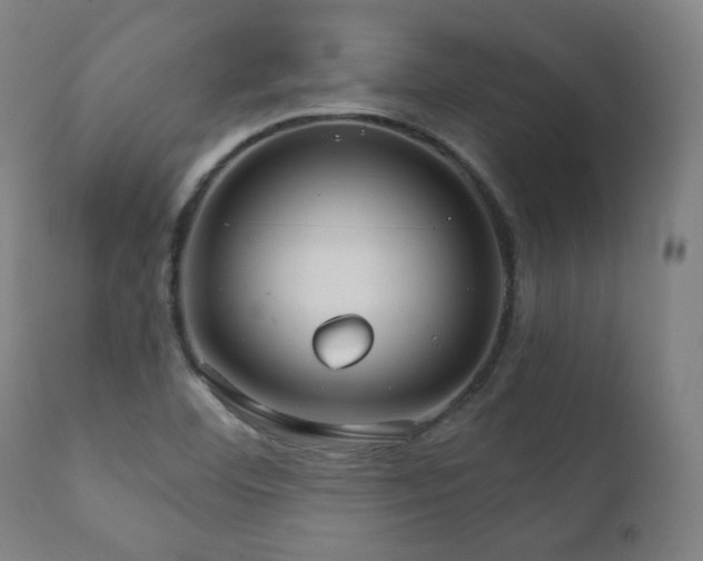 X0000111801460200907231158
