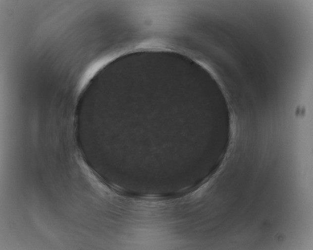 X0000111801461200907231158