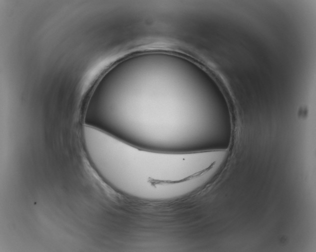 X0000111801464200907231158