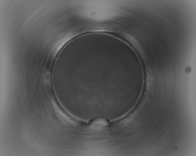 X0000111801465200907231158