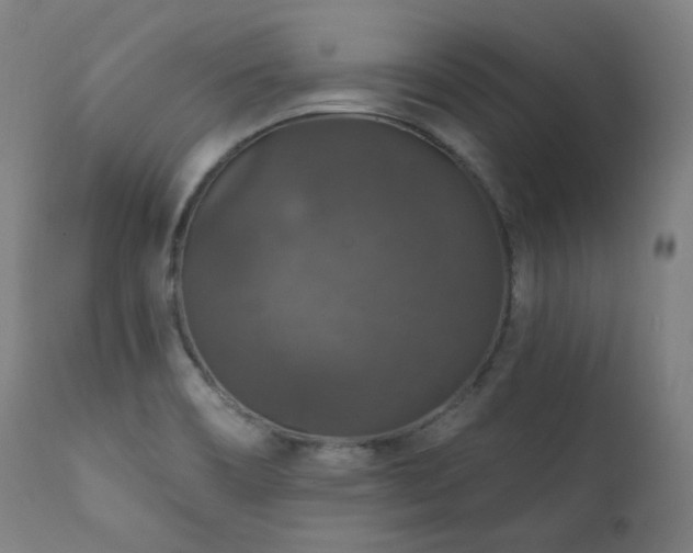 X0000111801466200907231158
