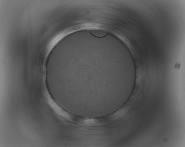 X0000111801467200907231158