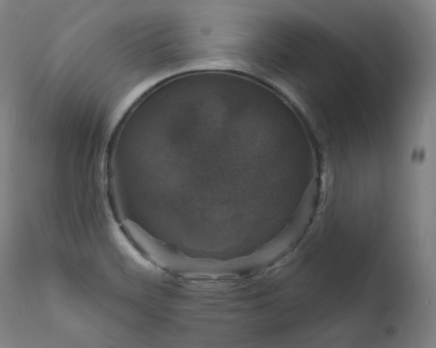 X0000111801468200907231158