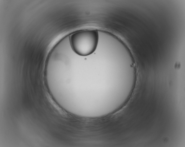 X0000111801469200907231158
